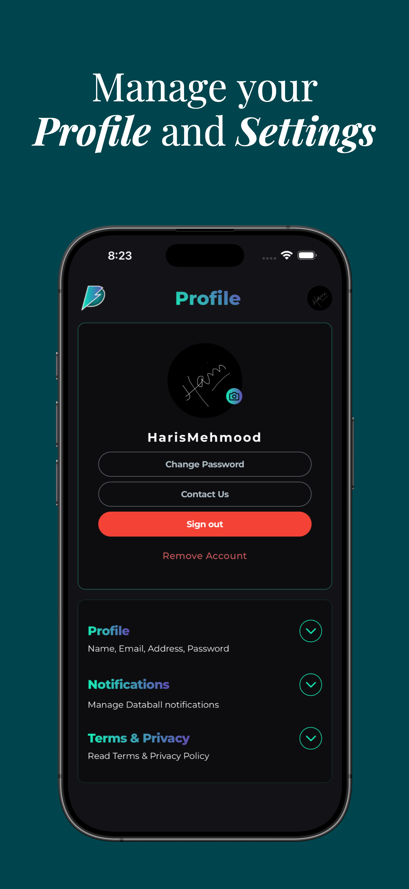 Databall app – team view